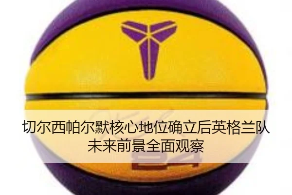 切尔西帕尔默核心地位确立后英格兰队未来前景全面观察