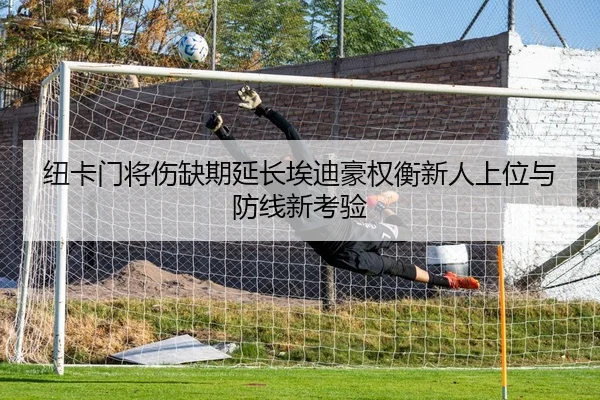纽卡门将伤缺期延长埃迪豪权衡新人上位与防线新考验